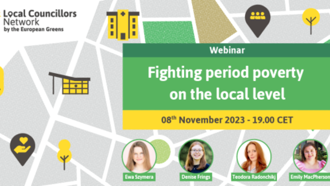 8 november webinar Local Councillors