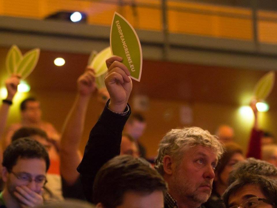 Stemmen.Zweed_.jpg