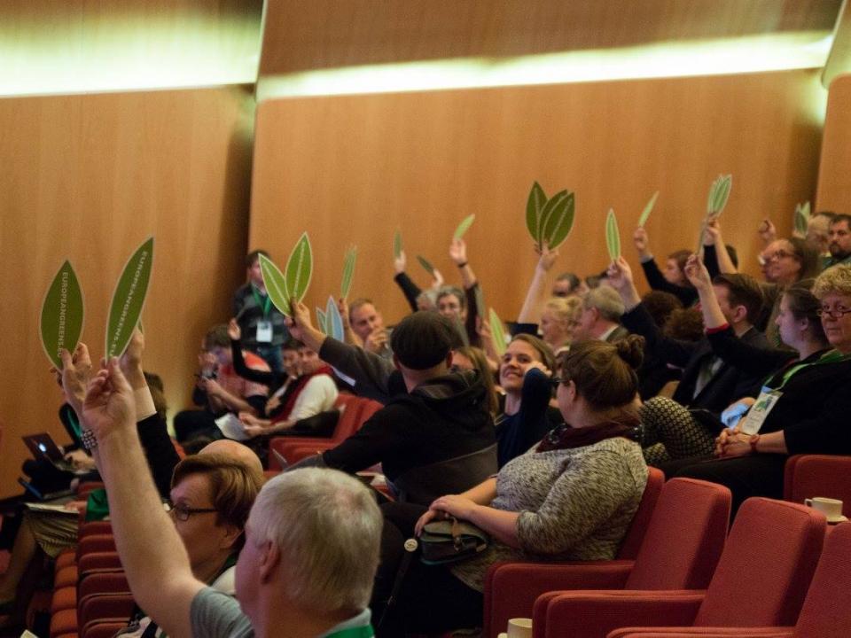 stemmingen.jpg